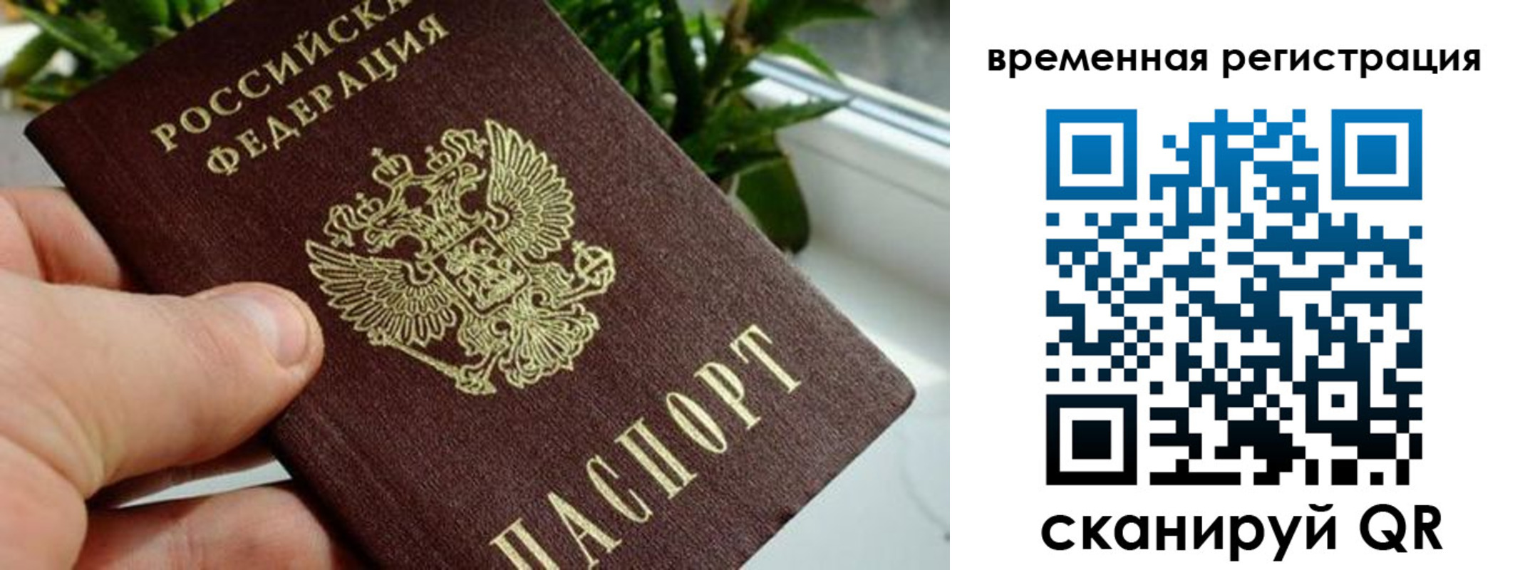 прописка поиск в Шарье